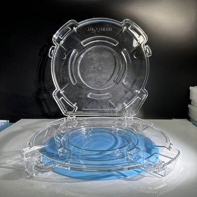 Guter Preis 12 Zoll 300 mm Polypropylen-Einzelwafer-Box, Silizium-Saphir-Wafer-Träger-Container-Box Online