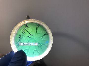 Guter Preis 2 ZOLL 6H-N Silikon-Karbid-Wafer-Art Barren MPD 50cm sic Kristallscheiben-330um Online