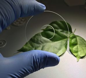 Guter Preis Saphir-Komponenten-Saphir-optischer Ring-Glasder hohen temperatur der Härte-9,0 Abnutzungs-Widerstand Online