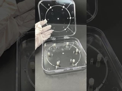 Verstellbare Waferbox    Transparent PC Waferträger für Halbleiterschutz